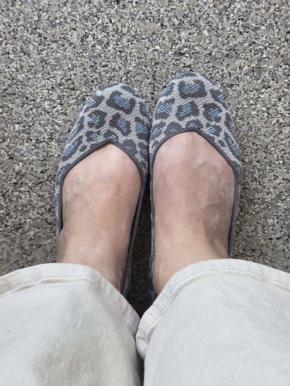 Rothys Leooard Print Flats